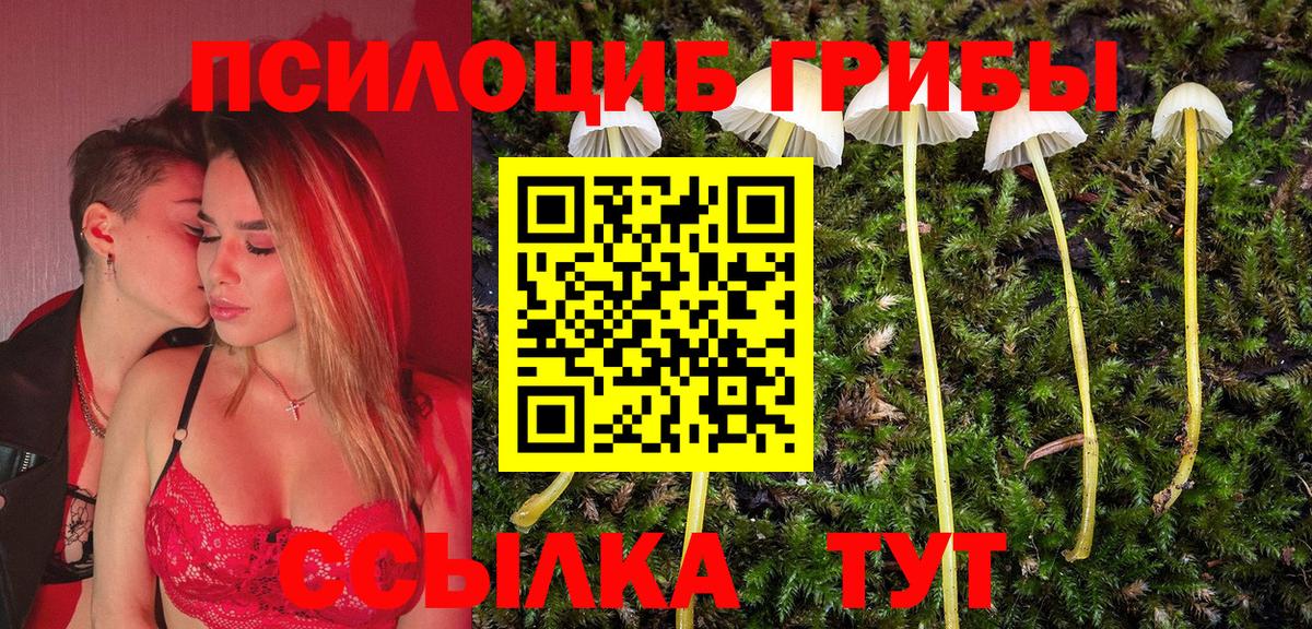 купить наркотик  Вход с VPN  Гай  Галлюциногенные грибы Magic Shrooms  Галлюциногенные грибы мухоморы 