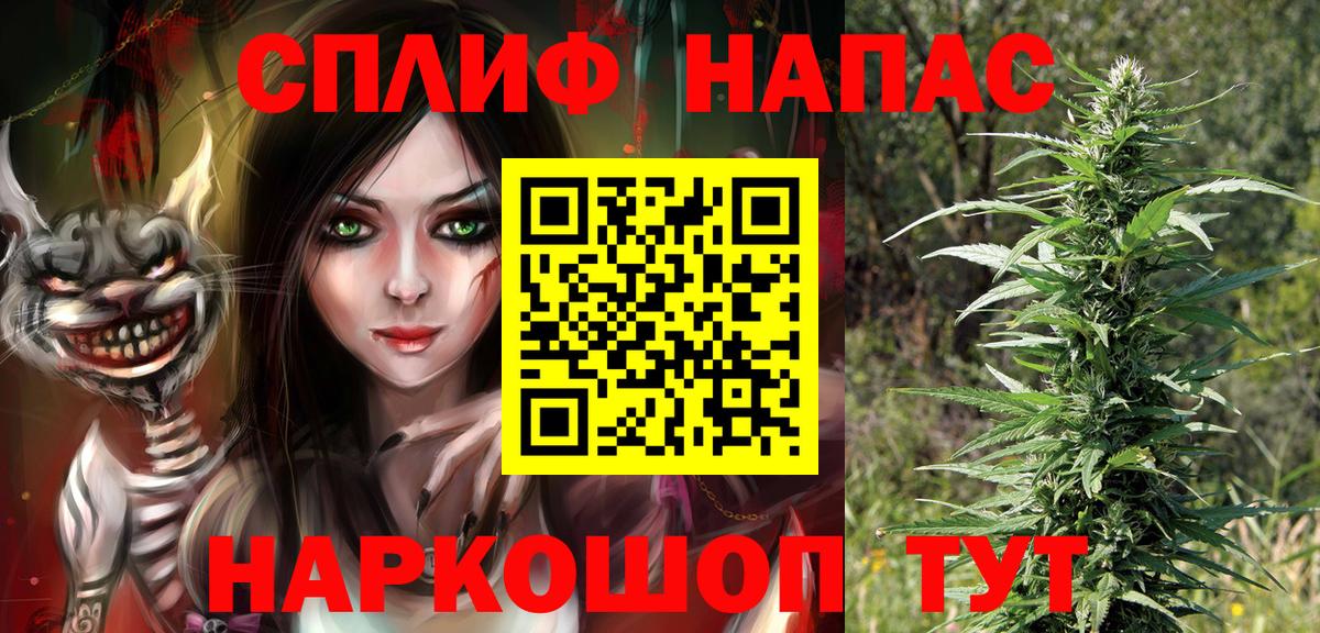 Конопля сатива  Вход с VPN  Канабис конопля  Конопля Amnesia  Бошки марихуана LSD WEED  Гай 